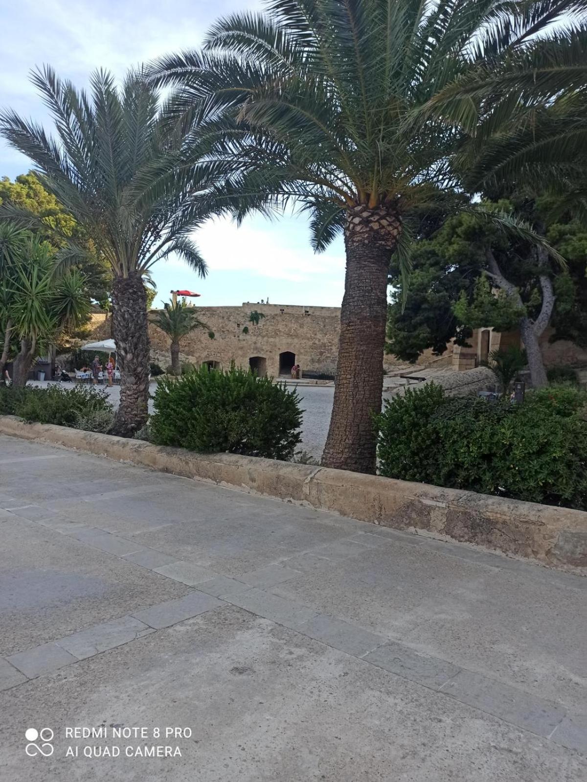 אליקאנטה Ricardo Hostal Apartamento 3 Habitaciones מראה חיצוני תמונה